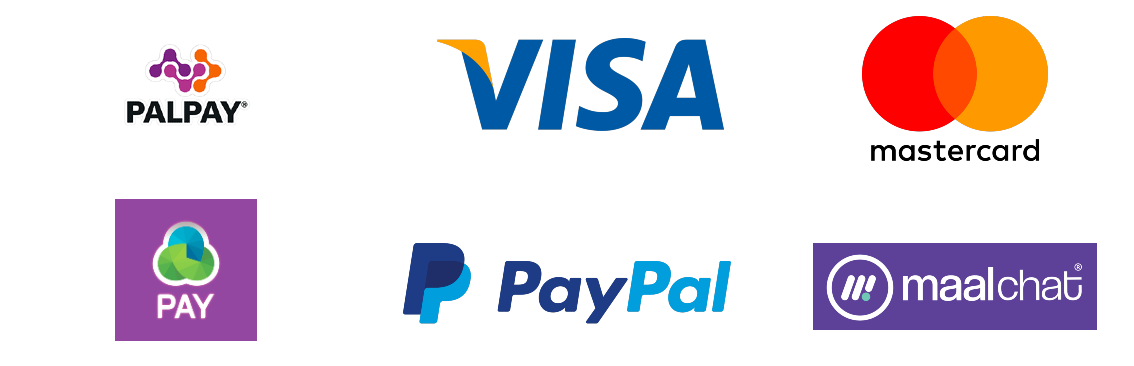 Visa-Card-Logo-PNG-Clipart-Background